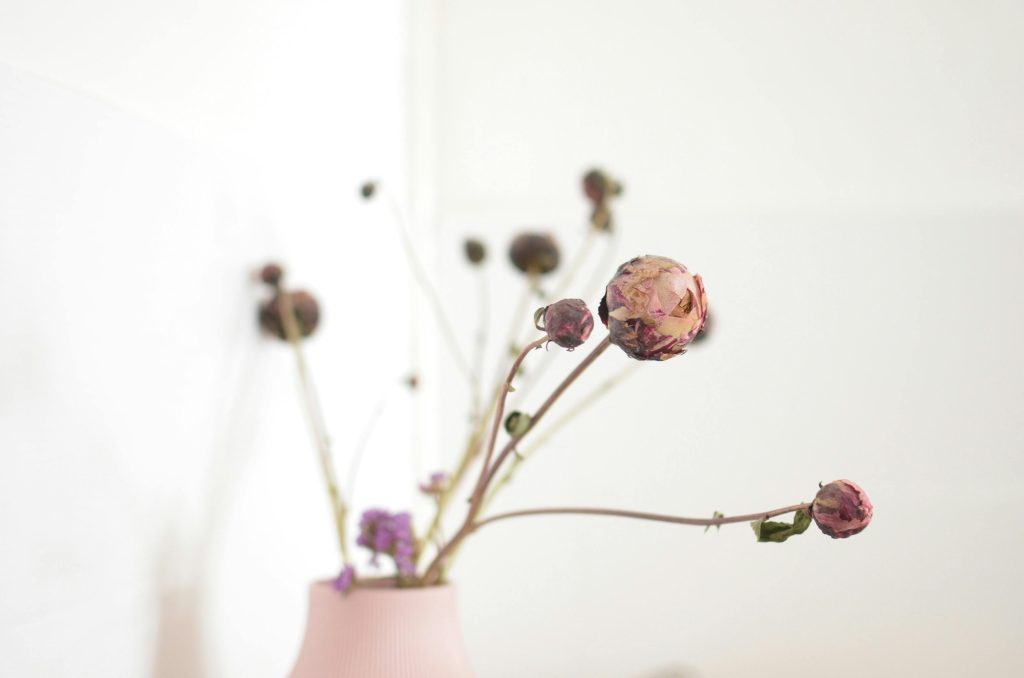 Bright pink flowers bouquet in ceramic vase placed in white room Image