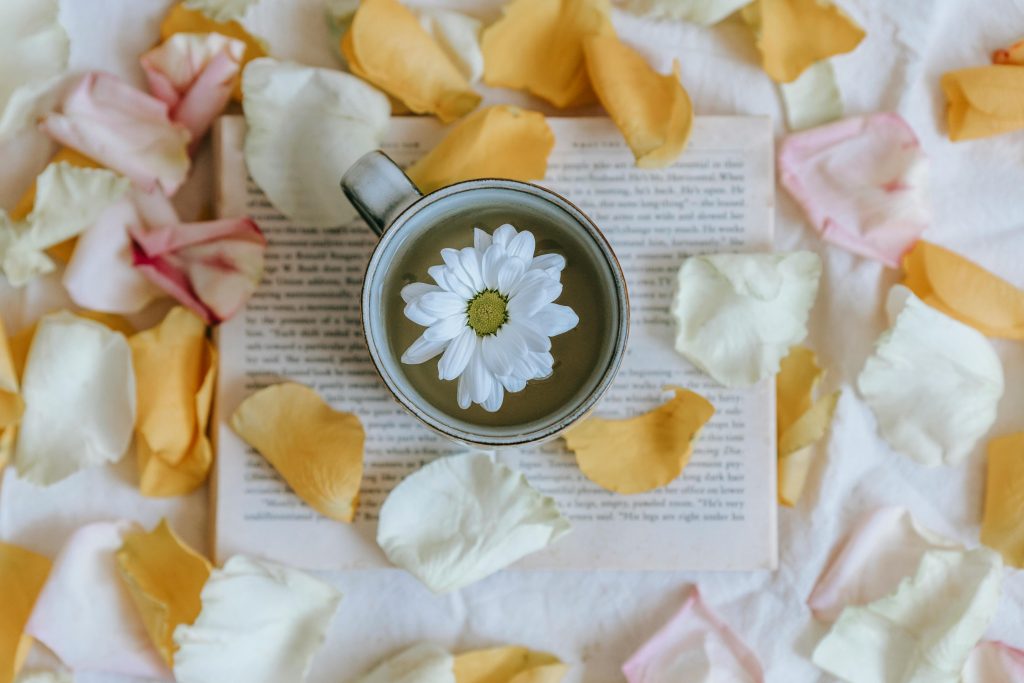 Blossoming Chrysanthemum in cup of green tea on textbook